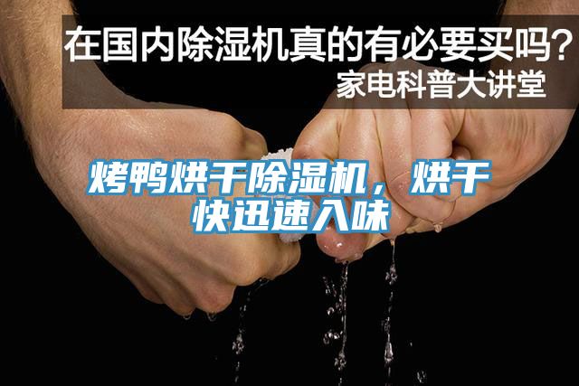 烤鸭烘干MR.好色破解版，烘干快迅速入味
