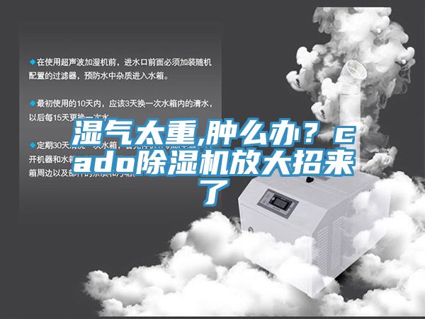 湿气太重,肿么办？cadoMR.好色破解版放大招来了