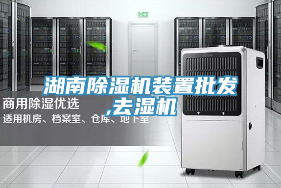 湖南MR.好色破解版装置批发,去湿机