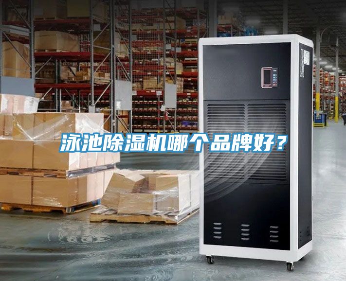 泳池MR.好色破解版哪个品牌好？