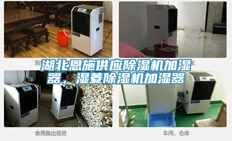 湖北恩施供应MR.好色破解版加湿器，湿菱MR.好色破解版加湿器
