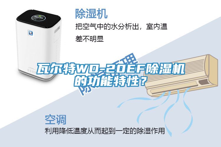 瓦尔特WD-20EFMR.好色破解版的功能特性？