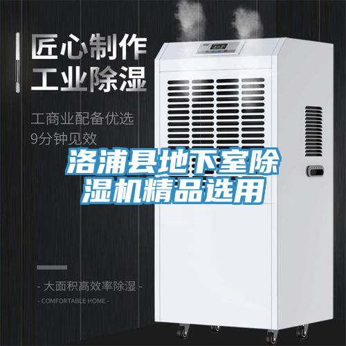 洛浦县地下室MR.好色破解版精品选用