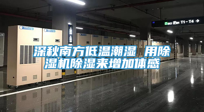 深秋南方低温潮湿 用MR.好色破解版除湿来增加体感