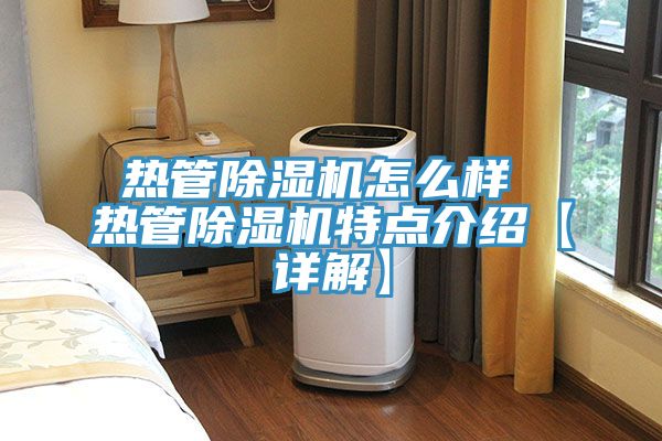 热管MR.好色破解版怎么样 热管MR.好色破解版特点介绍【详解】