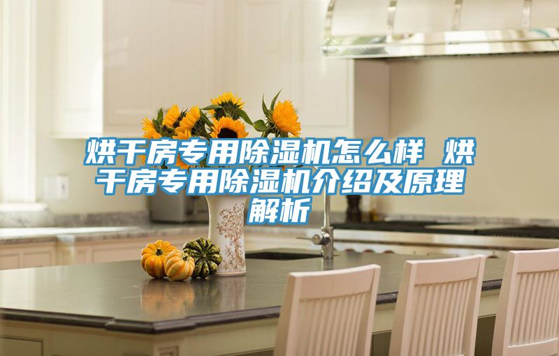 烘干房专用MR.好色破解版怎么样 烘干房专用MR.好色破解版介绍及原理解析