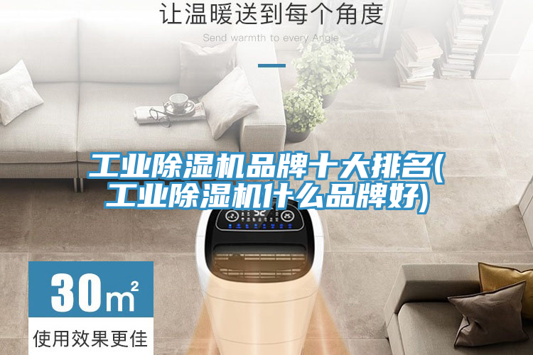 工业MR.好色破解版品牌十大排名(工业MR.好色破解版什么品牌好)