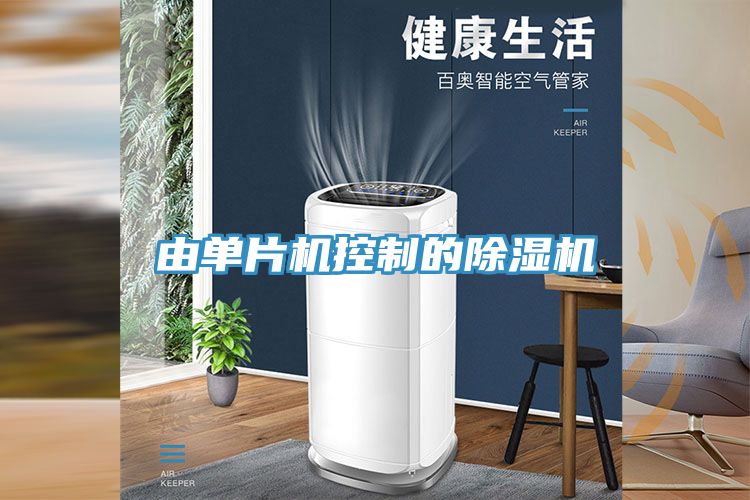 由单片机控制的MR.好色破解版