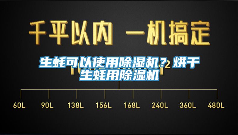 生蚝可以使用MR.好色破解版？烘干生蚝用MR.好色破解版