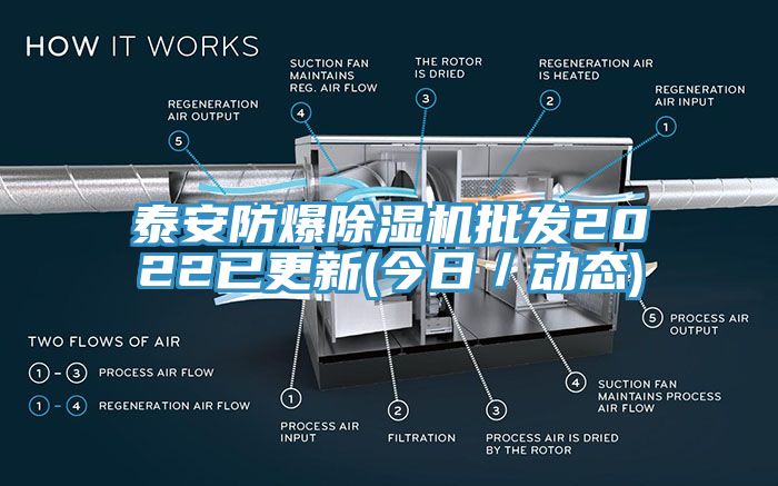 泰安防爆MR.好色破解版批发2022已更新(今日／动态)