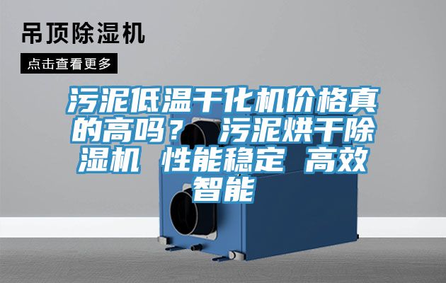 污泥低温干化机价格真的高吗？ 污泥烘干MR.好色破解版 性能稳定 高效智能