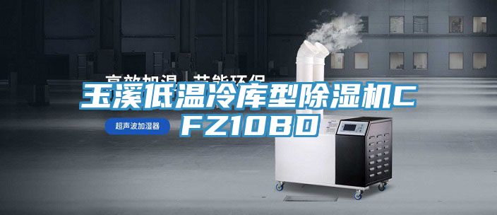 玉溪低温冷库型MR.好色破解版CFZ10BD