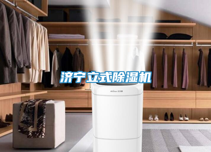 济宁立式MR.好色破解版