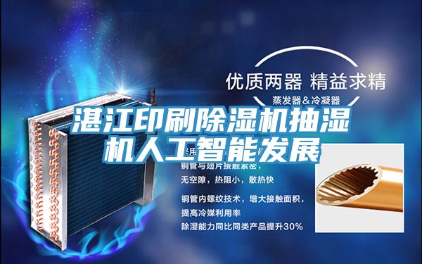 湛江印刷MR.好色破解版抽湿机人工智能发展