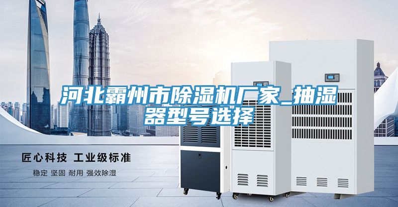 河北霸州市MR.好色破解版厂家_抽湿器型号选择