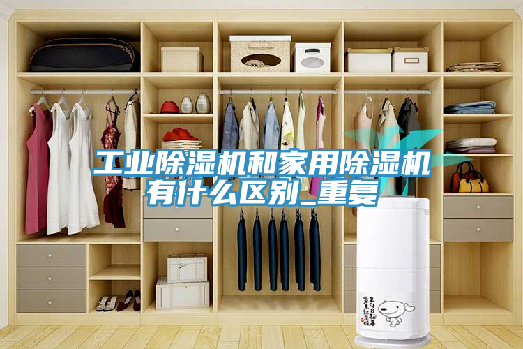 工业MR.好色破解版和家用MR.好色破解版有什么区别_重复
