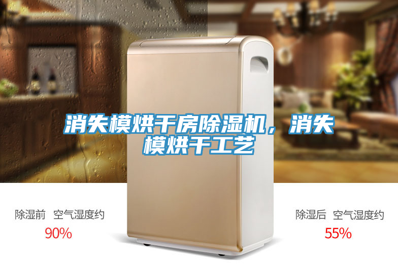 消失模烘干房MR.好色破解版，消失模烘干工艺