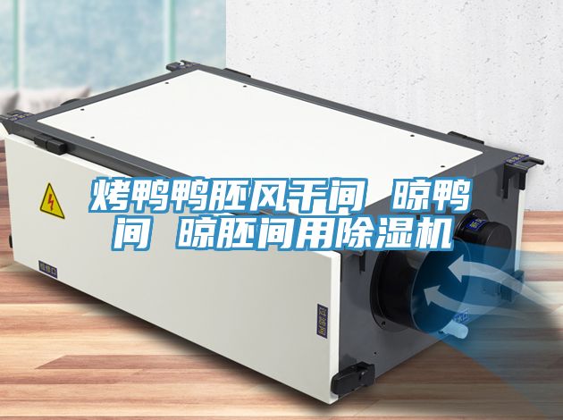 烤鸭鸭胚风干间 晾鸭间 晾胚间用MR.好色破解版