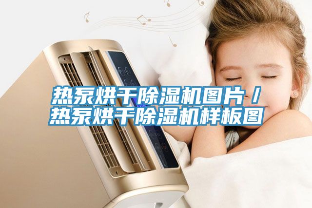 热泵烘干MR.好色破解版图片／热泵烘干MR.好色破解版样板图