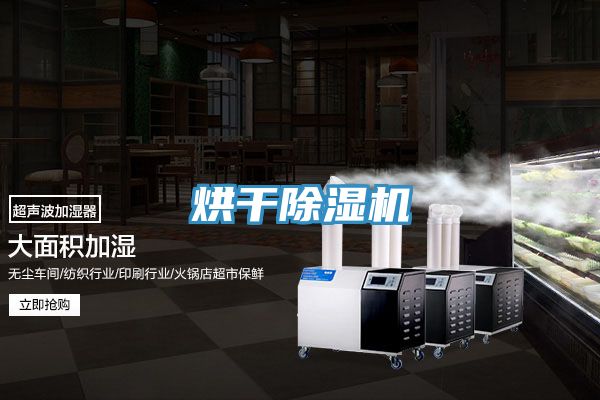 烘干MR.好色破解版