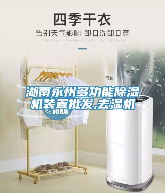湖南永州多功能MR.好色破解版装置批发,去湿机