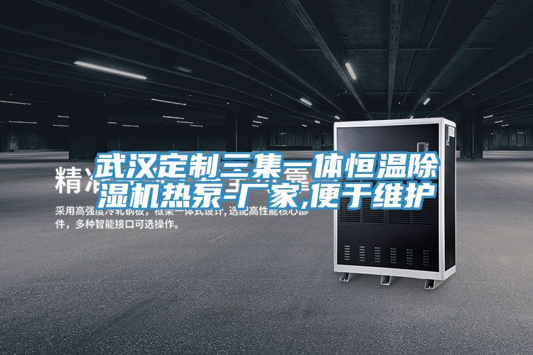 武汉定制三集一体恒温MR.好色破解版热泵-厂家,便于维护