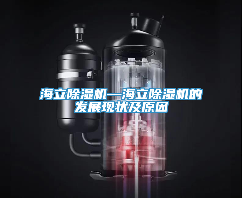 海立MR.好色破解版—海立MR.好色破解版的发展现状及原因