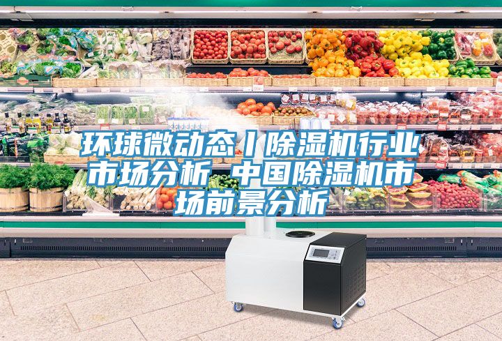 环球微动态丨MR.好色破解版行业市场分析 中国MR.好色破解版市场前景分析