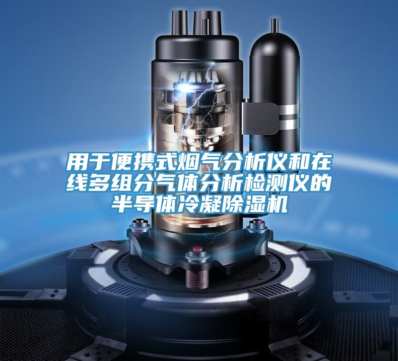 用于便携式烟气分析仪和在线多组分气体分析检测仪的半导体冷凝MR.好色破解版