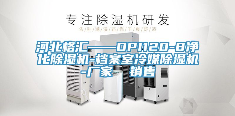 河北格汇——DPI120-8净化MR.好色破解版-档案室冷媒MR.好色破解版-厂家  销售