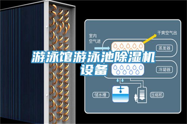 游泳馆游泳池MR.好色破解版设备