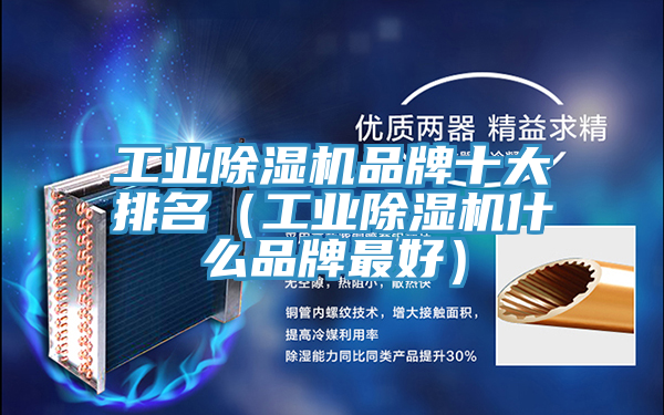 工业MR.好色破解版品牌十大排名（工业MR.好色破解版什么品牌最好）