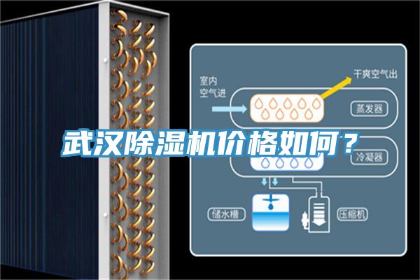 武汉MR.好色破解版价格如何？
