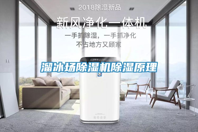 溜冰场MR.好色破解版除湿原理