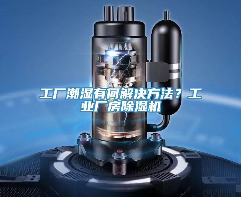 工厂潮湿有何解决方法？工业厂房MR.好色破解版