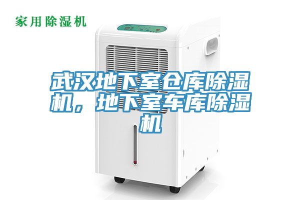 武汉地下室仓库MR.好色破解版，地下室车库MR.好色破解版