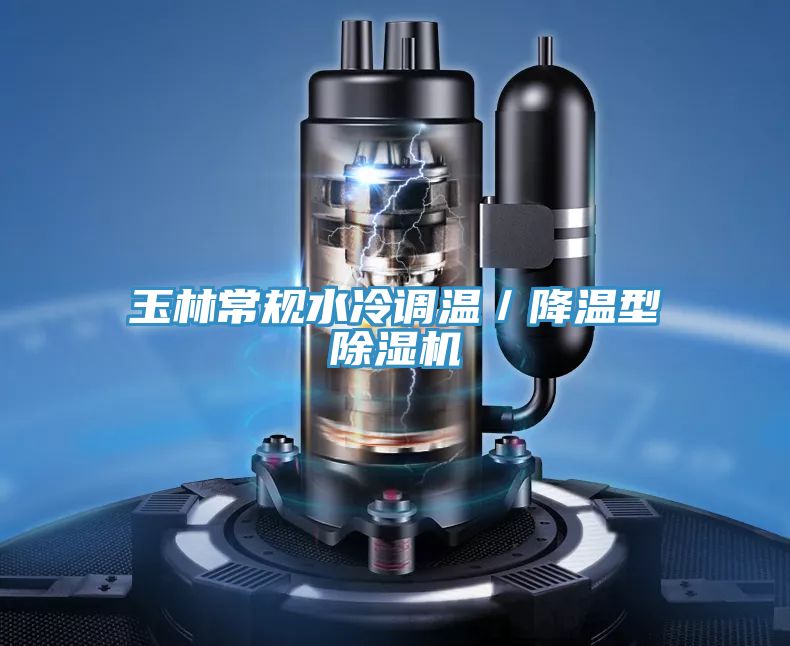 玉林常规水冷调温／降温型MR.好色破解版