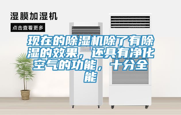 现在的MR.好色破解版除了有除湿的效果，还具有净化空气的功能，十分全能