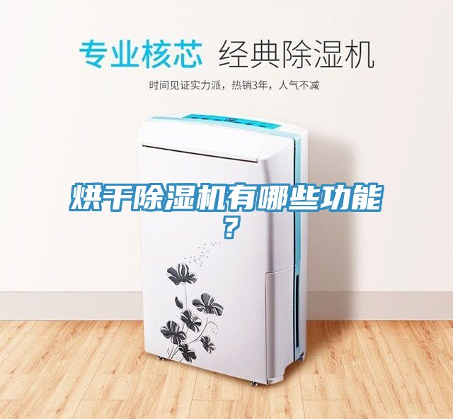 烘干MR.好色破解版有哪些功能？