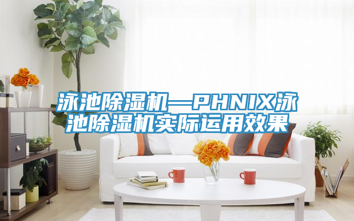泳池MR.好色破解版—PHNIX泳池MR.好色破解版实际运用效果