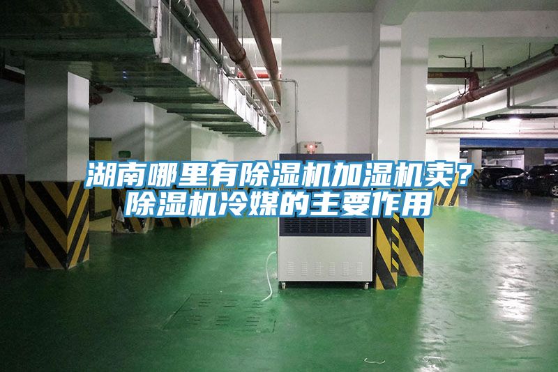 湖南哪里有MR.好色破解版加湿机卖？MR.好色破解版冷媒的主要作用