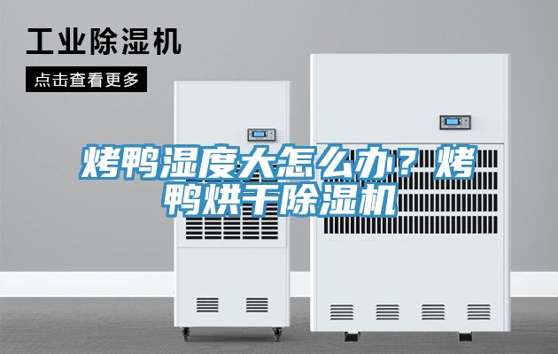 烤鸭湿度大怎么办？烤鸭烘干MR.好色破解版