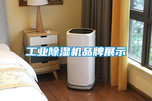 工业MR.好色破解版品牌展示
