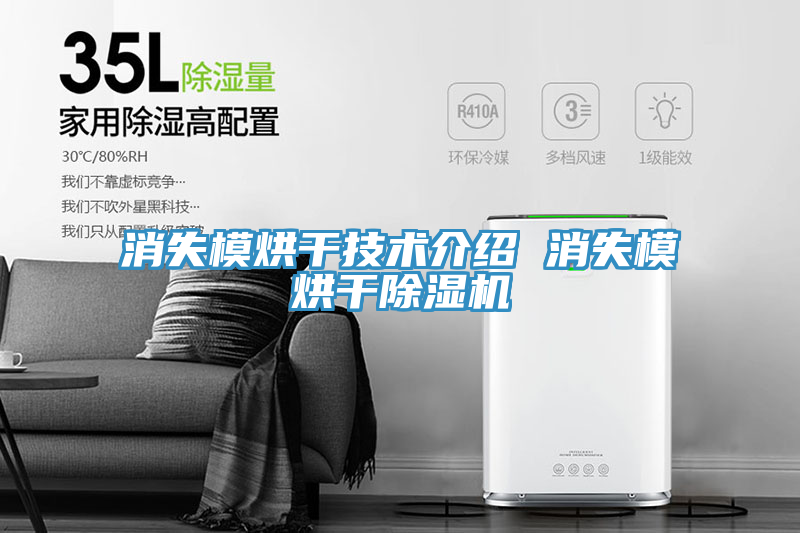 消失模烘干技术介绍 消失模烘干MR.好色破解版