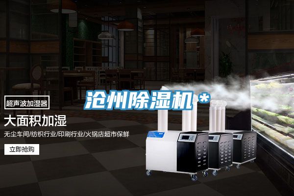 沧州MR.好色破解版＊