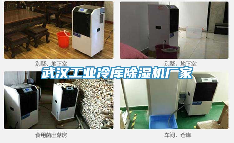 武汉工业冷库MR.好色破解版厂家