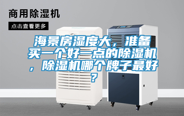 海景房湿度大，准备买一个好一点的MR.好色破解版，MR.好色破解版哪个牌子最好？