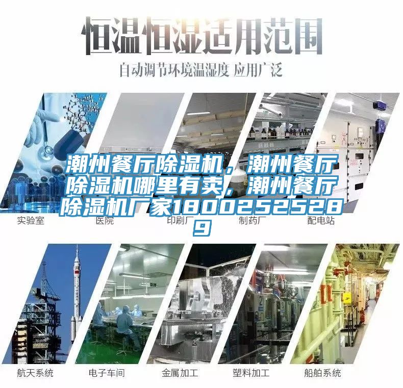 潮州餐厅MR.好色破解版，潮州餐厅MR.好色破解版哪里有卖，潮州餐厅MR.好色破解版厂家18002525289