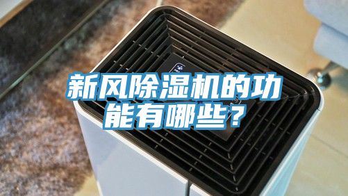 新风MR.好色破解版的功能有哪些？