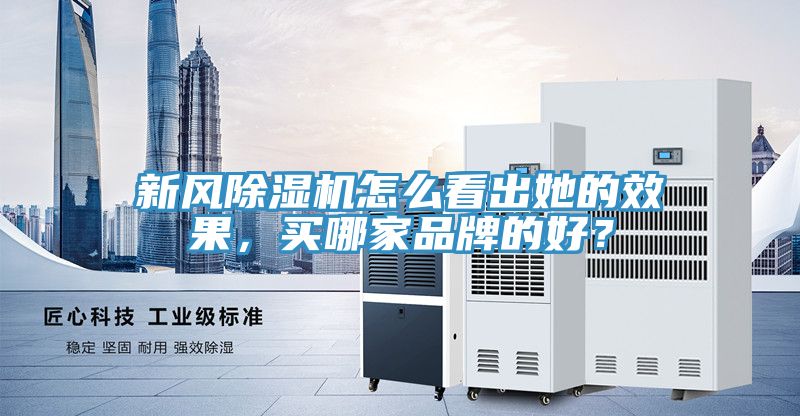 新风MR.好色破解版怎么看出她的效果，买哪家品牌的好？